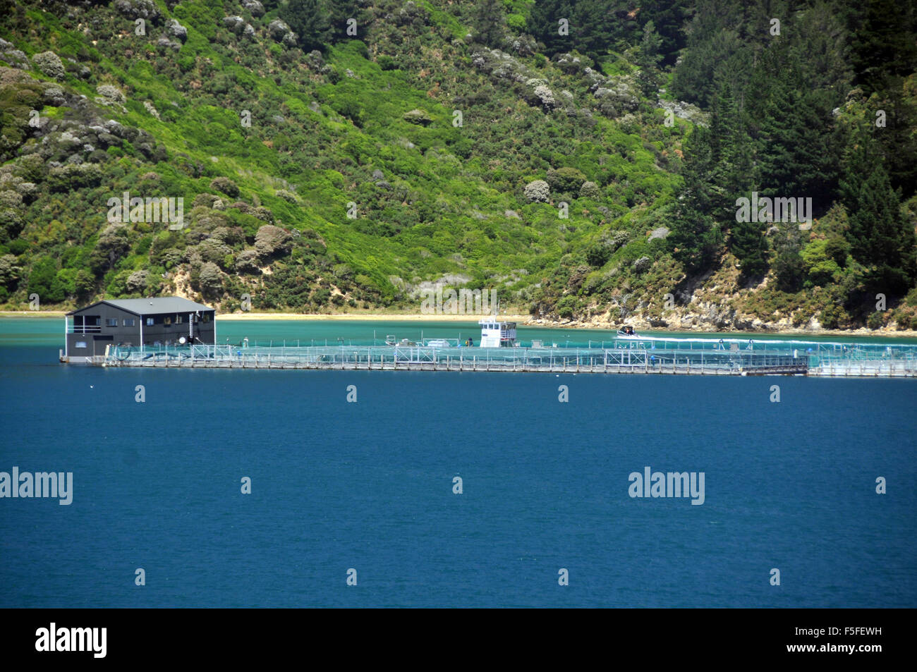 Pearl oyster farm hires stock photography and images Alamy