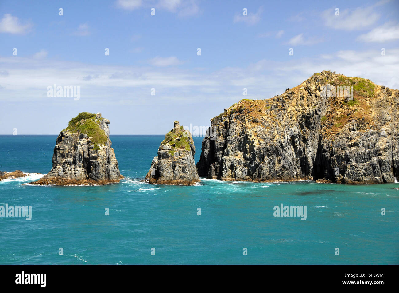 Shoreline at the entrance of the Marlborough Sound, Marlborough region