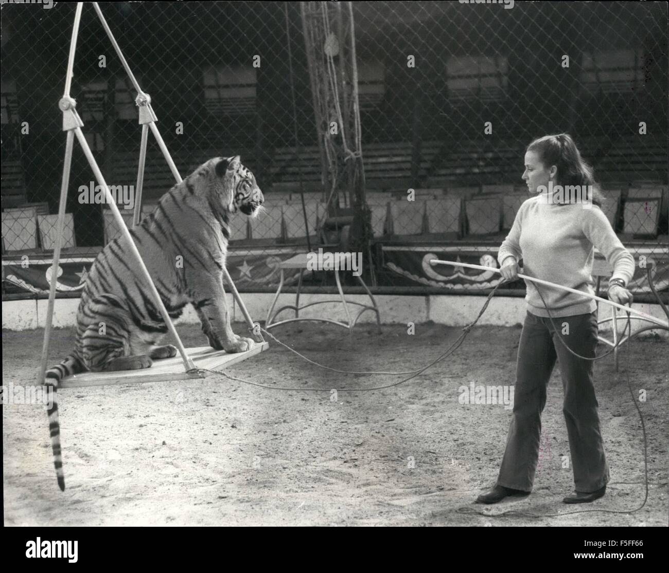 1967 - Mary's Circus is back in town:' Chipperfield's' is for millions synonymous with Circus, but Mary Chipperfield Circus is quite distinct and separated from her uncle Dick's circus - the one that most of us associate the name with.The confusion has in fact led to a serious family rift, and Mary had to suspend circus activities two years ago, but now she is back again - the call of the Ring is irresistible to a Chipperfield! The circus -A spectacular show featuring over 50 animals and about 40 artists, including clowns, trapeze acts, etc. is now in full swing on Clapham Common, there will b Stock Photo