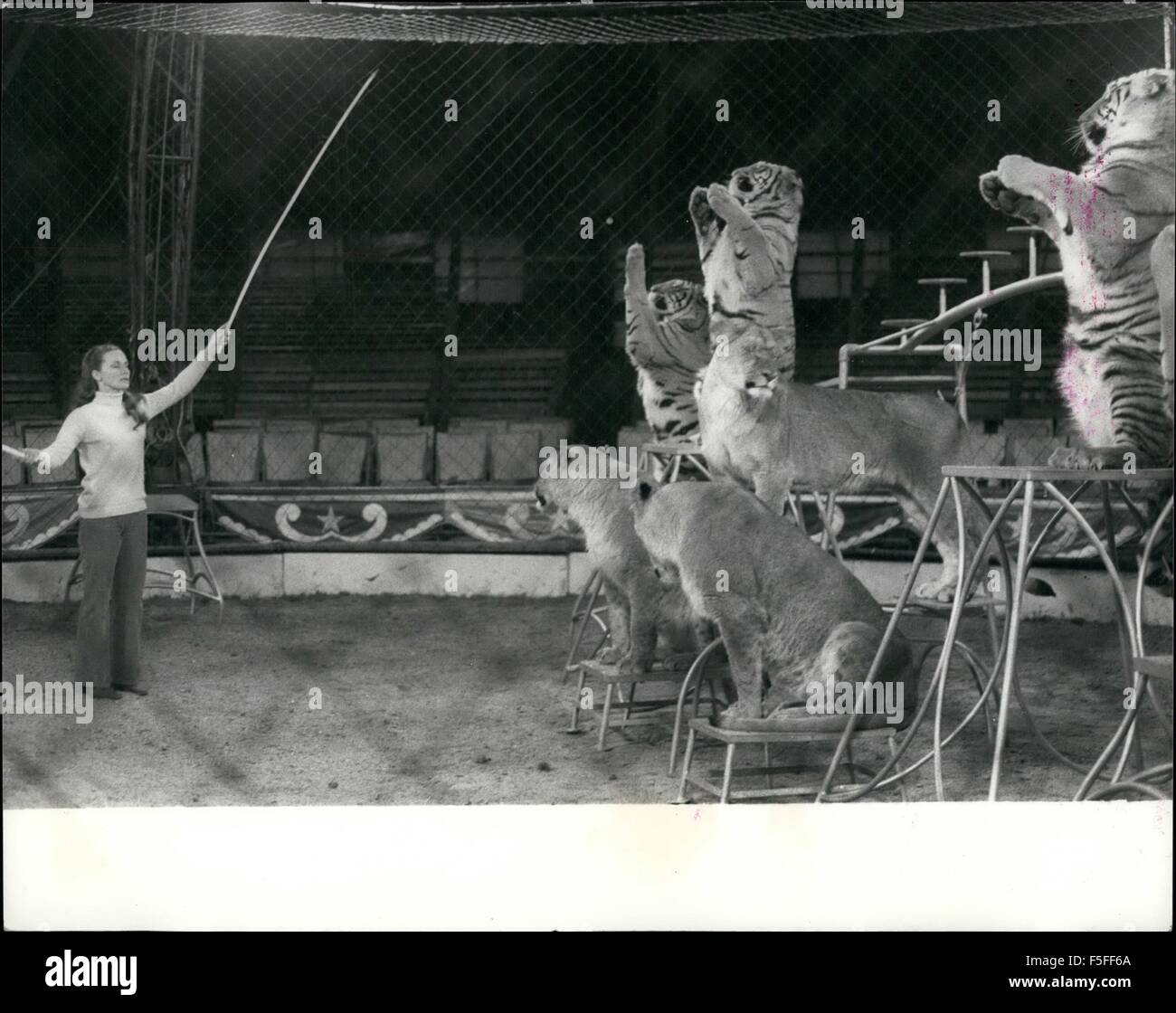 1967 - Mary's Circus is back in town:' Chipperfield's' is for millions synonymous with Circus, but Mary Chipperfield Circus is quite distinct and separated from her uncle Dick's circus - the one that most of us associate the name with.The confusion has in fact led to a serious family rift, and Mary had to suspend circus activities two years ago, but now she is back again - the call of the Ring is irresistible to a Chipperfield! The circus -A spectacular show featuring over 50 animals and about 40 artists, including clowns, trapeze acts, etc. is now in full swing on Clapham Common, there will b Stock Photo