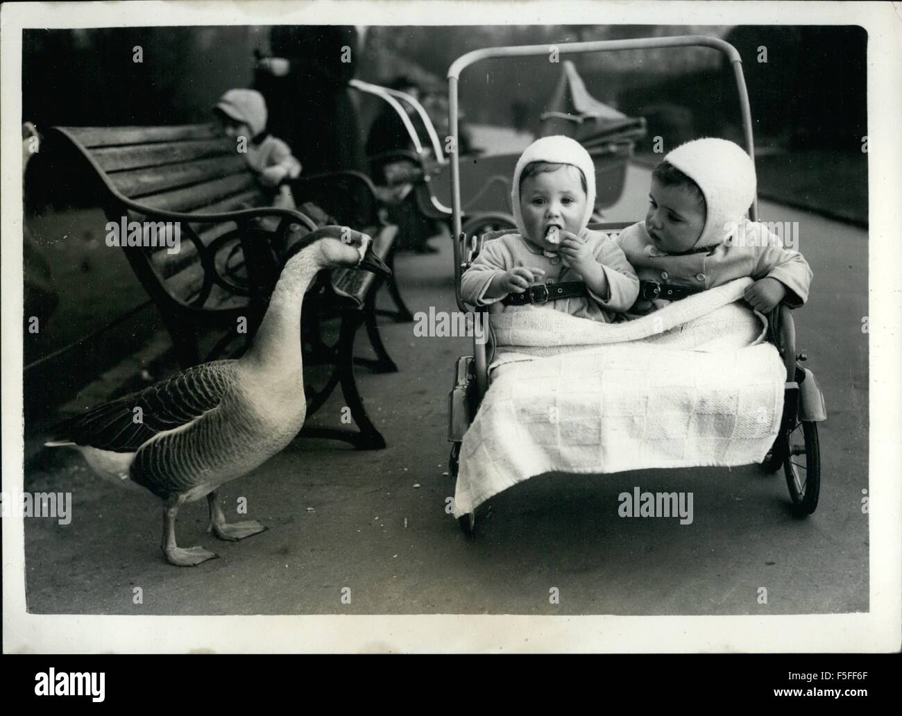 1967 - There's A Silly Goose: Stephen Burton (right), watches his twin brother John as he enjoys his cream biscuit. ''Hey'', says Stephens, ''that biscuit was meant for Park had wandered across to have a look at the twins. He accepts the loss of the biscuit with true Oriental philosophy - which is just as it should be because he's a Chinese goose. © Keystone Pictures USA/ZUMAPRESS.com/Alamy Live News Stock Photo