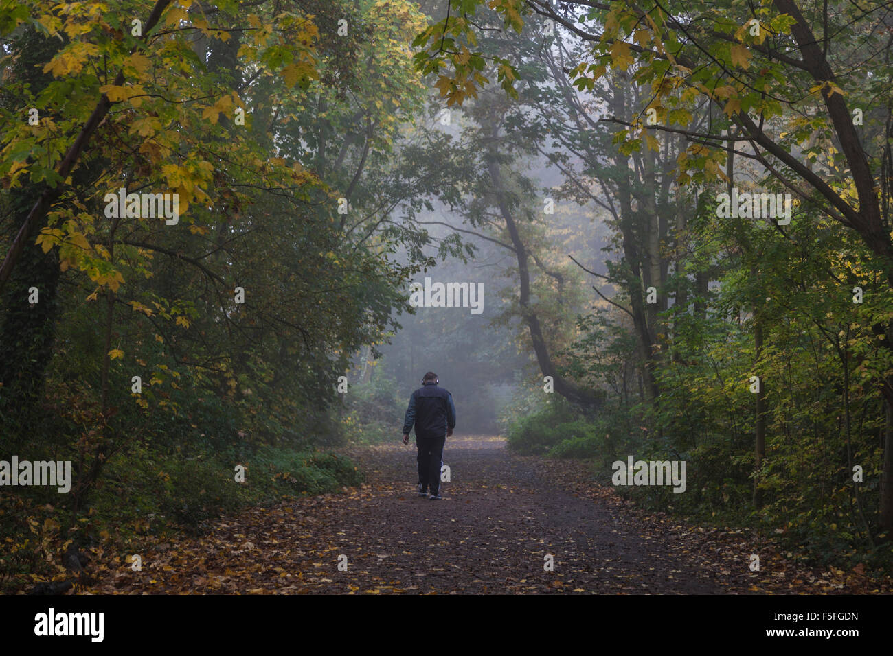 Parkland Walk in Highgate on a misty morning, London, UK Stock Photo