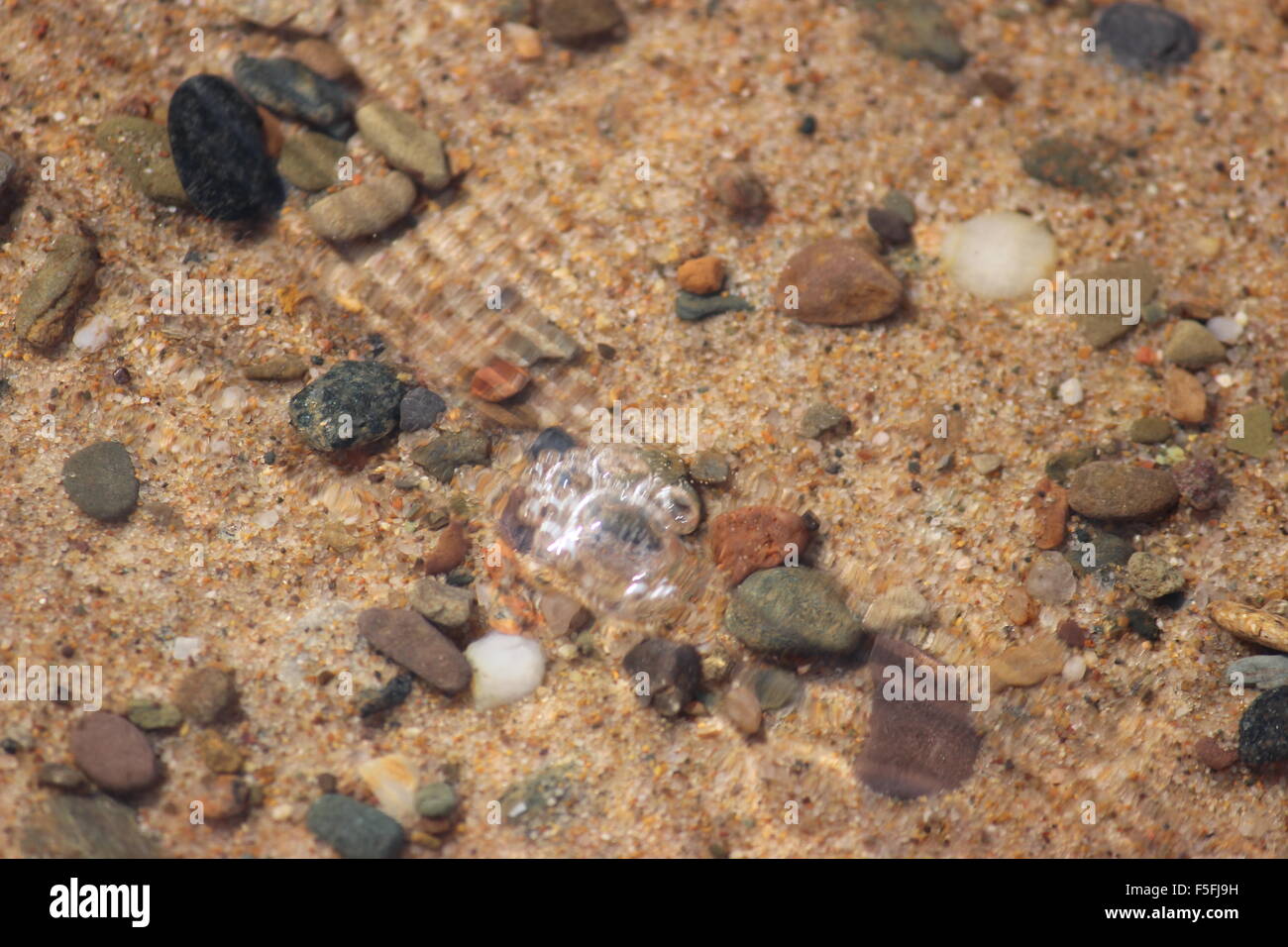 Close-Up of beach rock underwater at Inverness Beach, Nova Scotia, Canada Stock Photo
