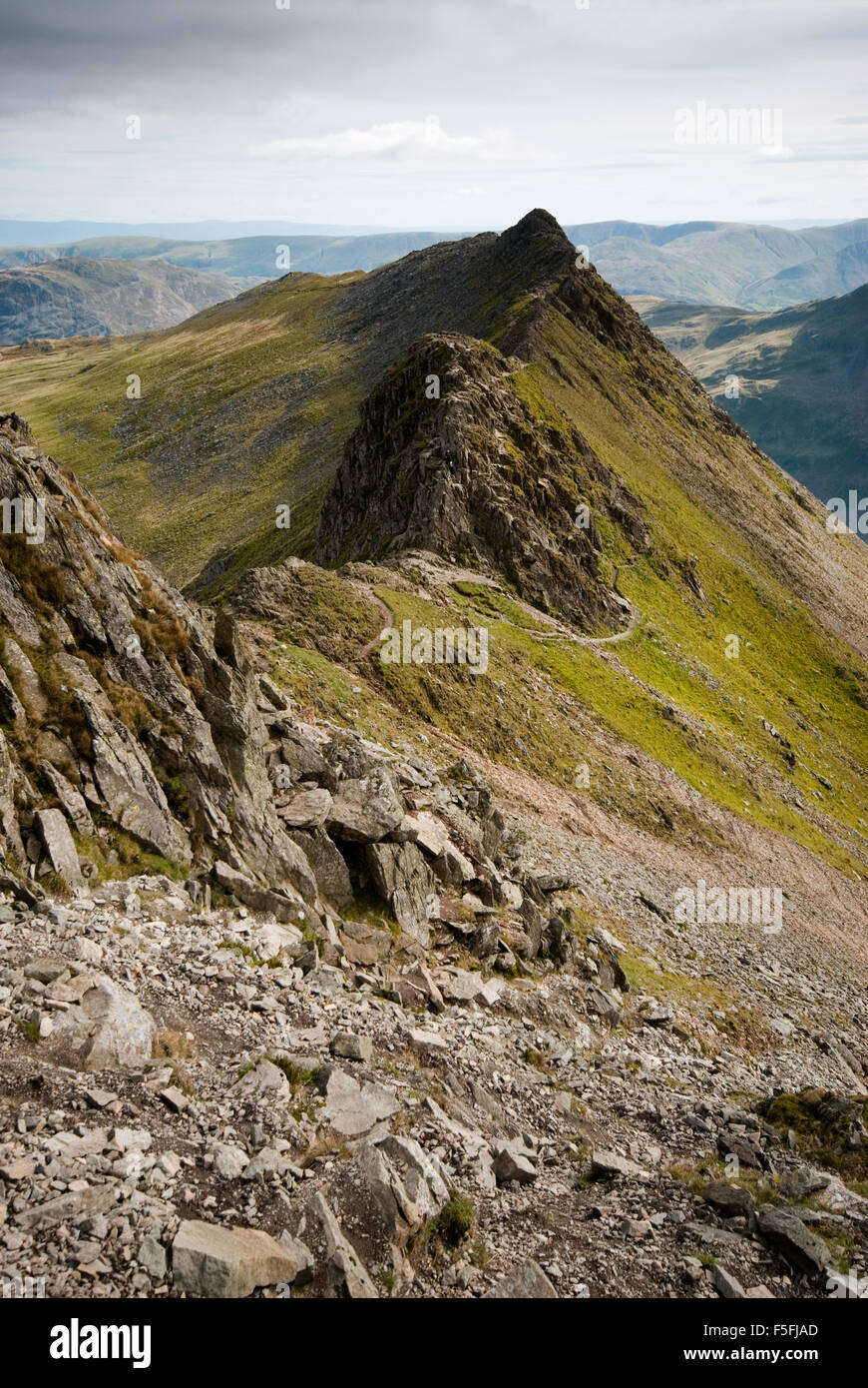 View of the knife edge ridge of Striding Edge in The Lake District ...