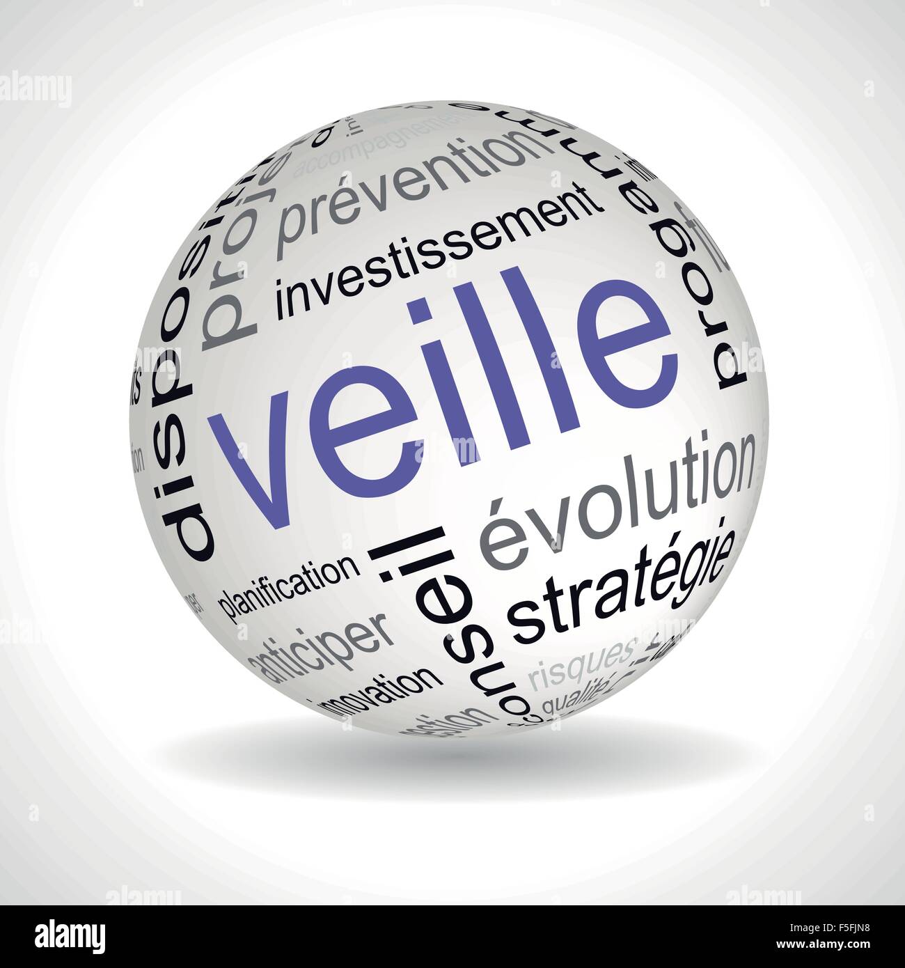 French business watch theme sphere with keywords full vector Stock Vector