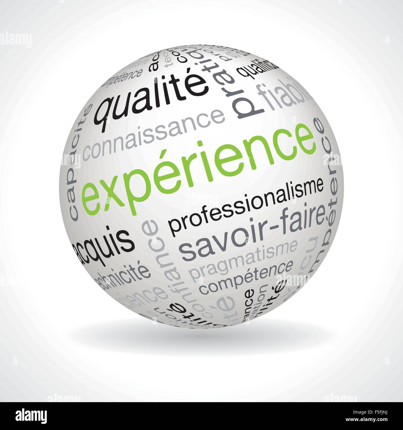 French experience theme sphere with keywords full vector Stock Vector