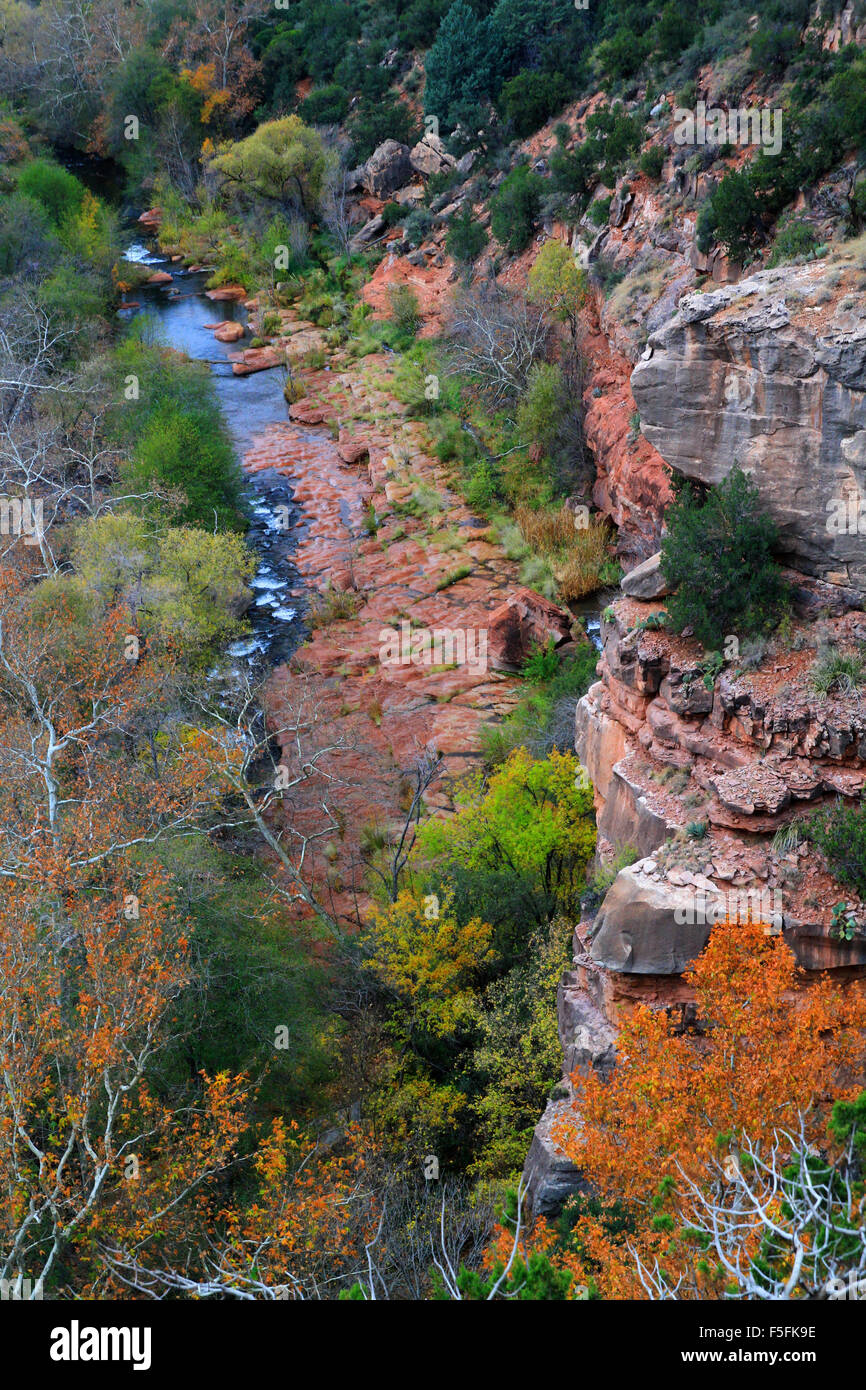 Beautiful fall colors in Oak Creek Canyon of Sedona, Arizona Stock