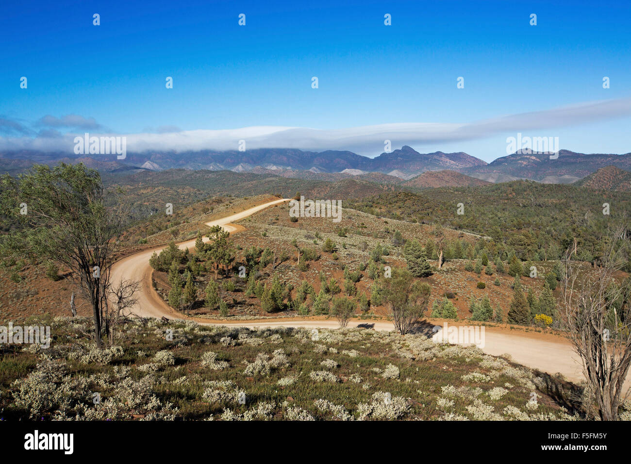 Winding ridgeback road through rugged undulating landscape of Flinders Ranges National Park to mountain peaks on horizon in outback South Australia Stock Photo