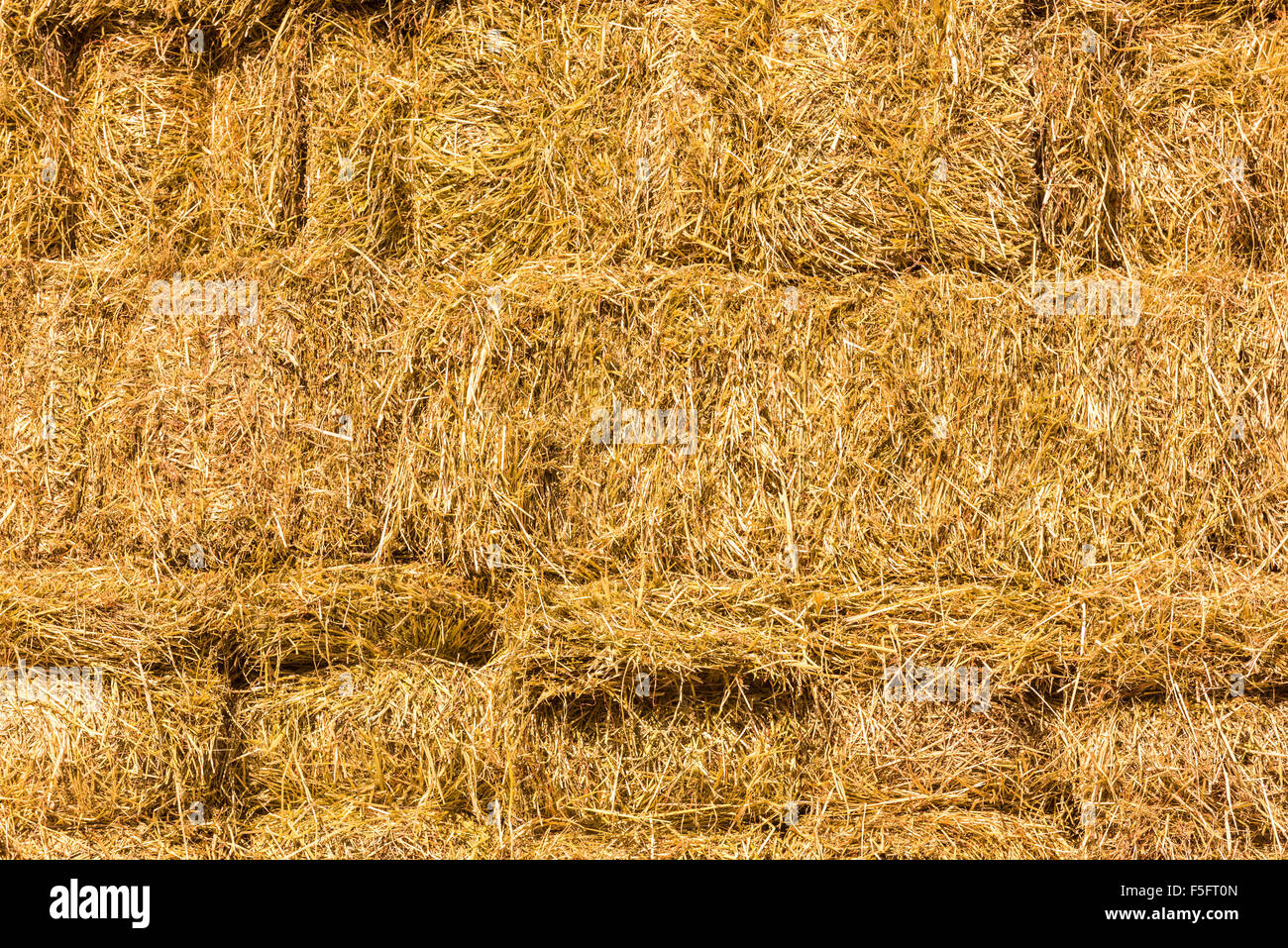 Fresh straw hay bales background. Horizontal shot Stock Photo - Alamy