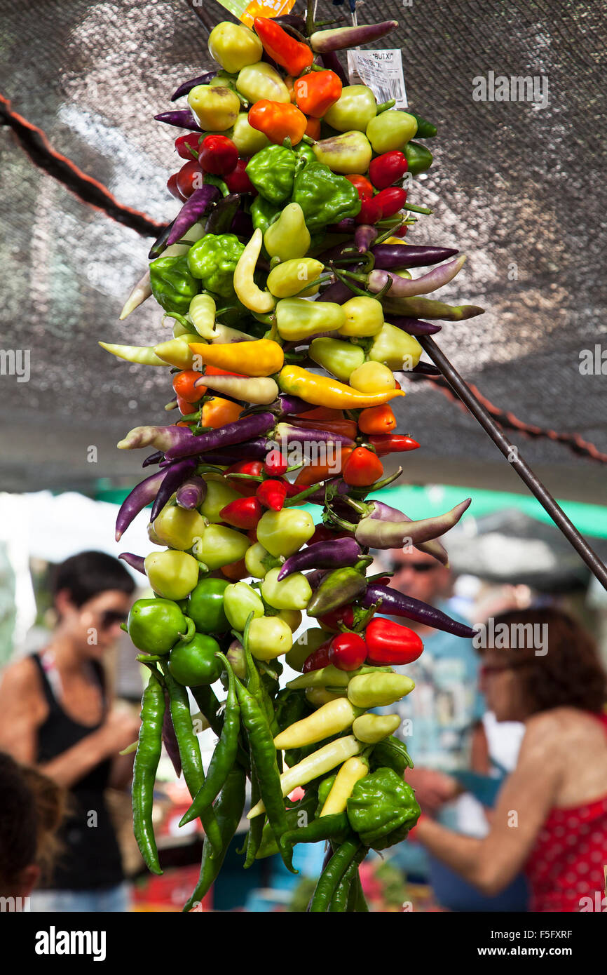 Fresh chillies and peppers on sale at the Pollensa old town market on the island of Majorca, Spain Stock Photo