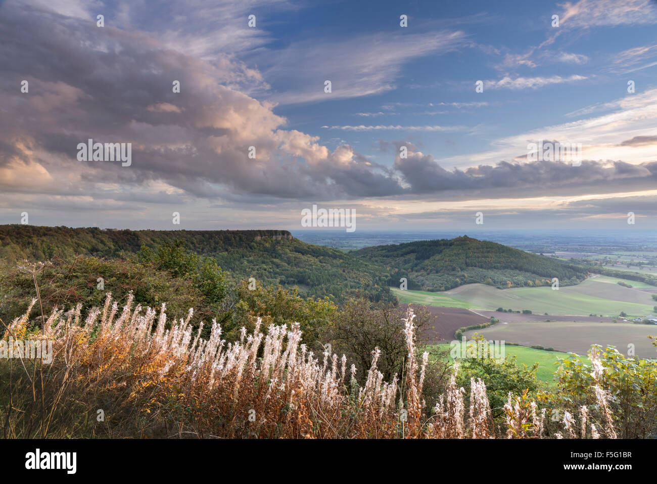 Roulston Scar, Hood Hill and vale of York from Sutton Bank. Stock Photo