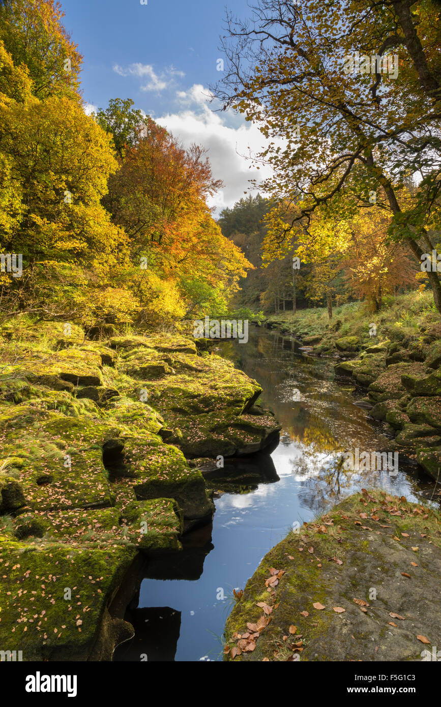 The Strid, Cavendish Estate, Bolton Abbey, Wharfedale, The Yorkshire
