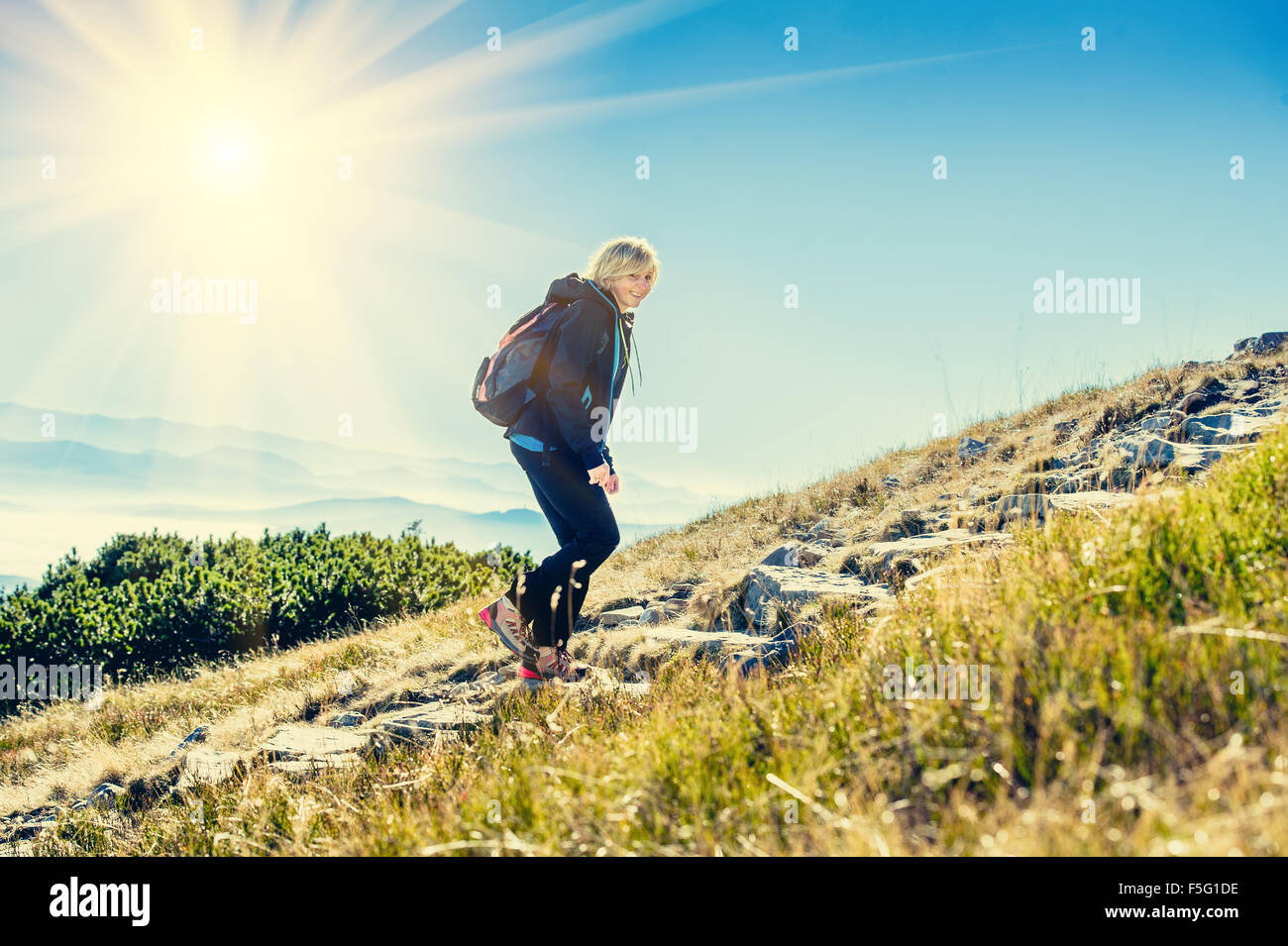 Female woman trekking forest hi-res stock photography and images - Alamy