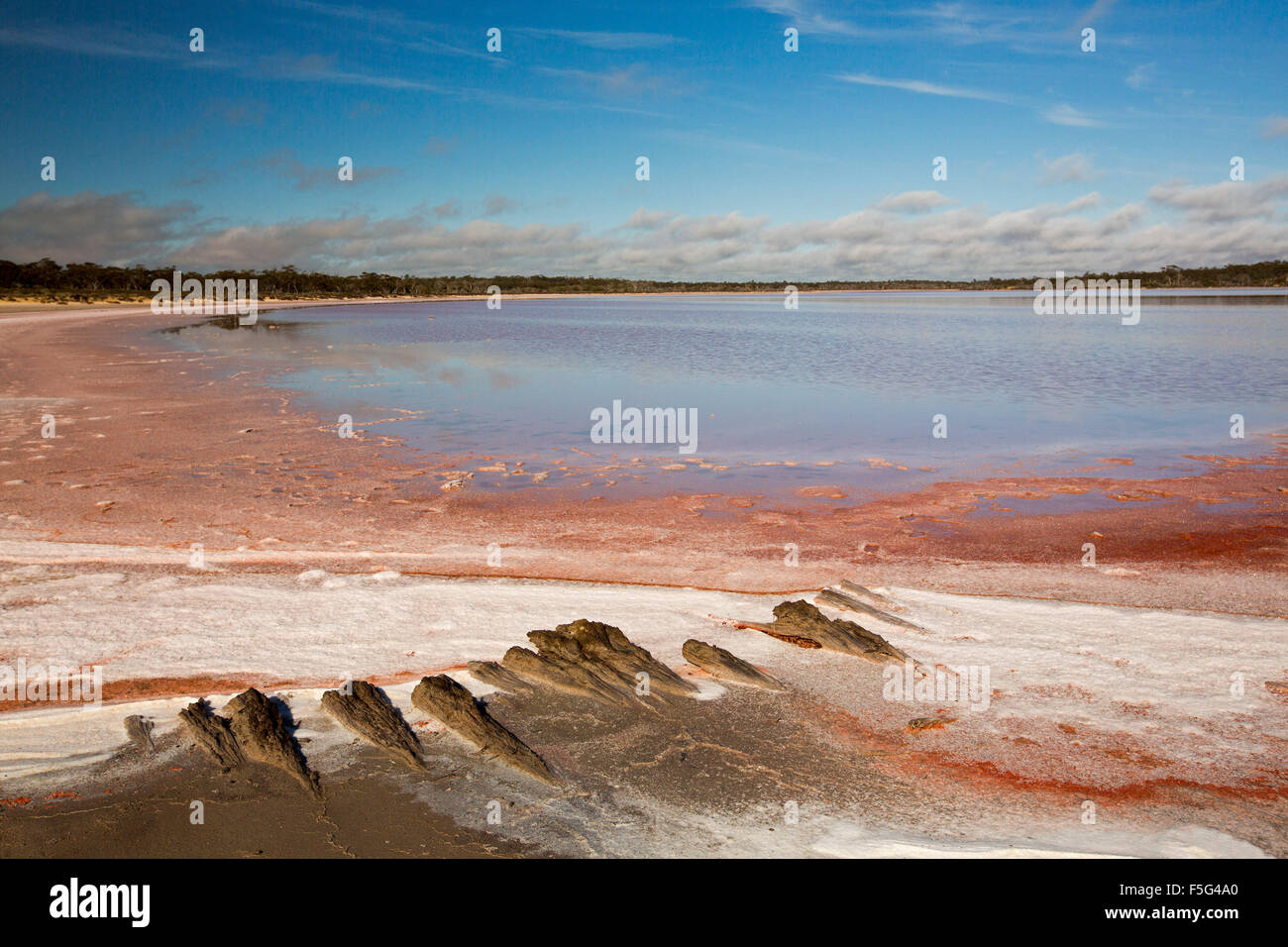 Vast outback landscape with unusual vivid pink layers of salt beside calm blue and pink waters of lake in Murray Sunset National Park Australia Stock Photo