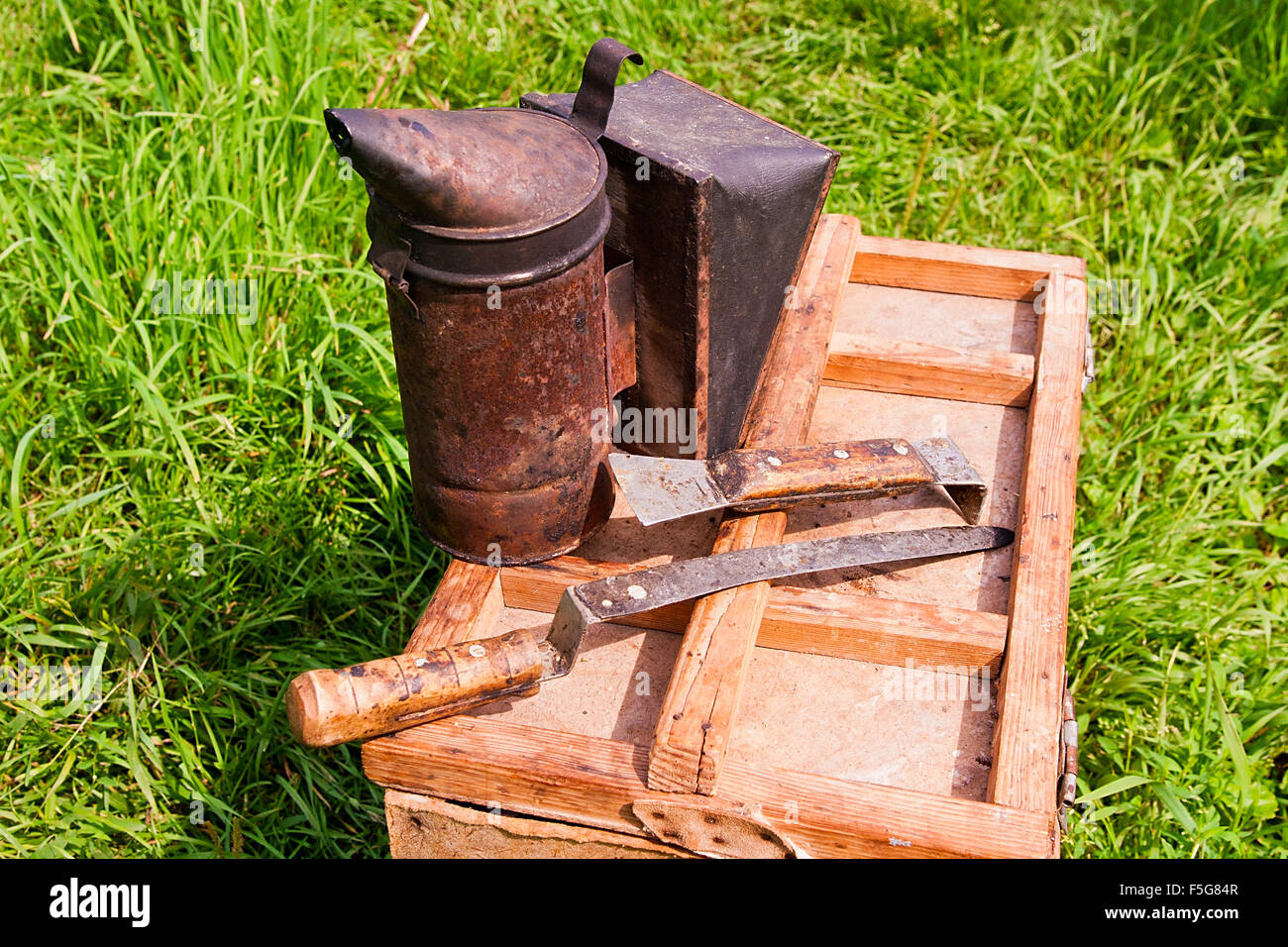 Vintage smoker and different kinds of beekeeper knifes on the wooden box. Stock Photo