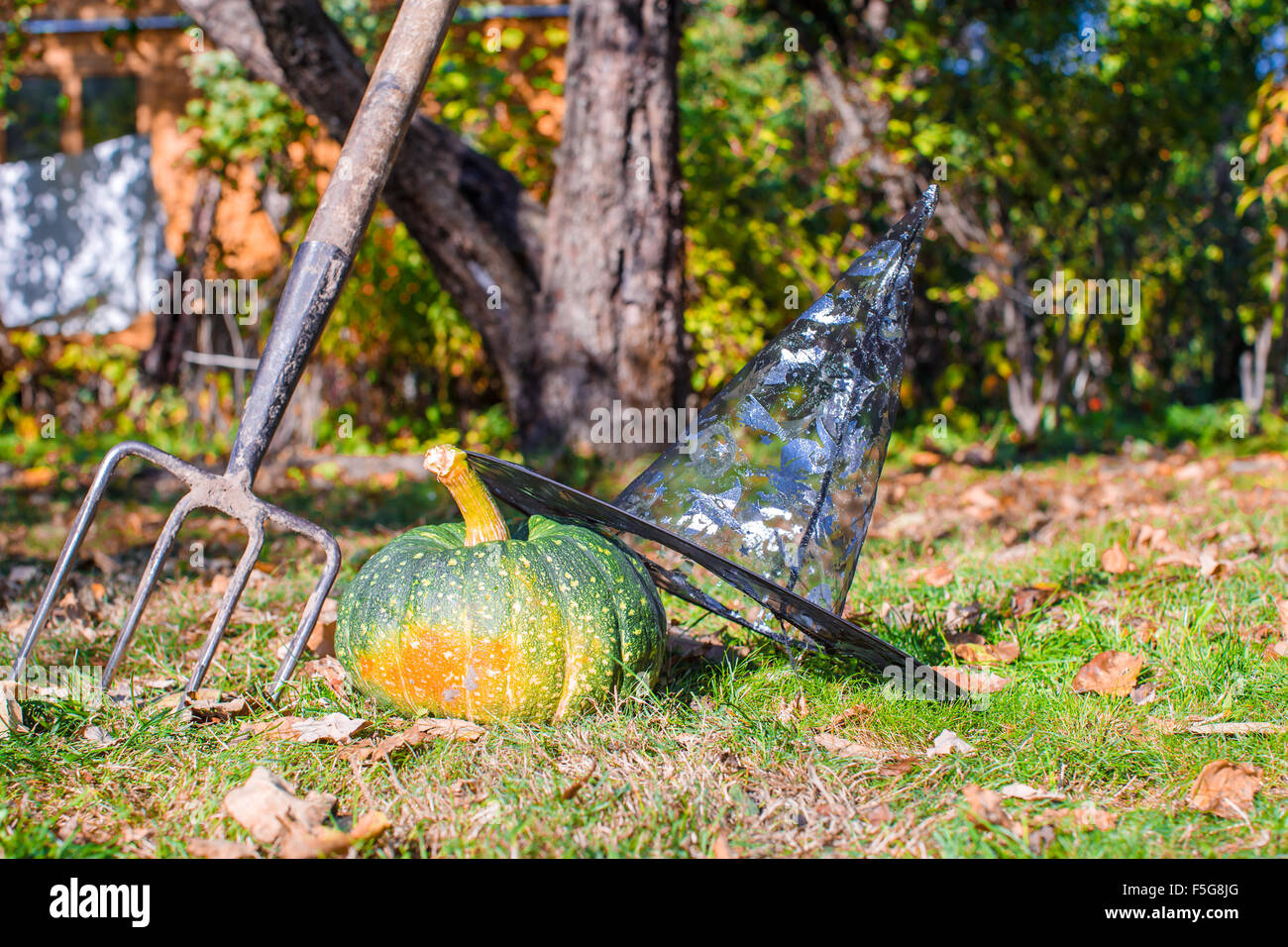 Pumpkin rake broom halloween hi-res stock photography and images - Alamy