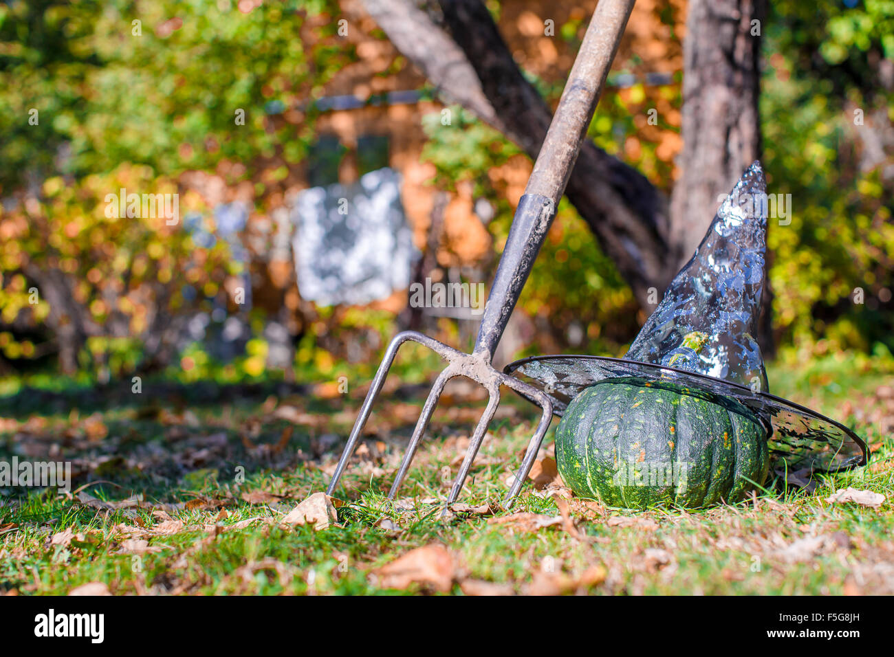 Pumpkin rake broom halloween hi-res stock photography and images - Alamy