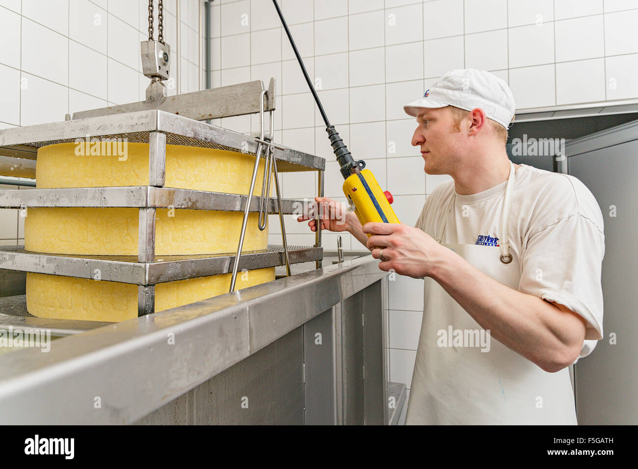 Le Gruyère cheese being salted in dairy (cheese factory) in the village