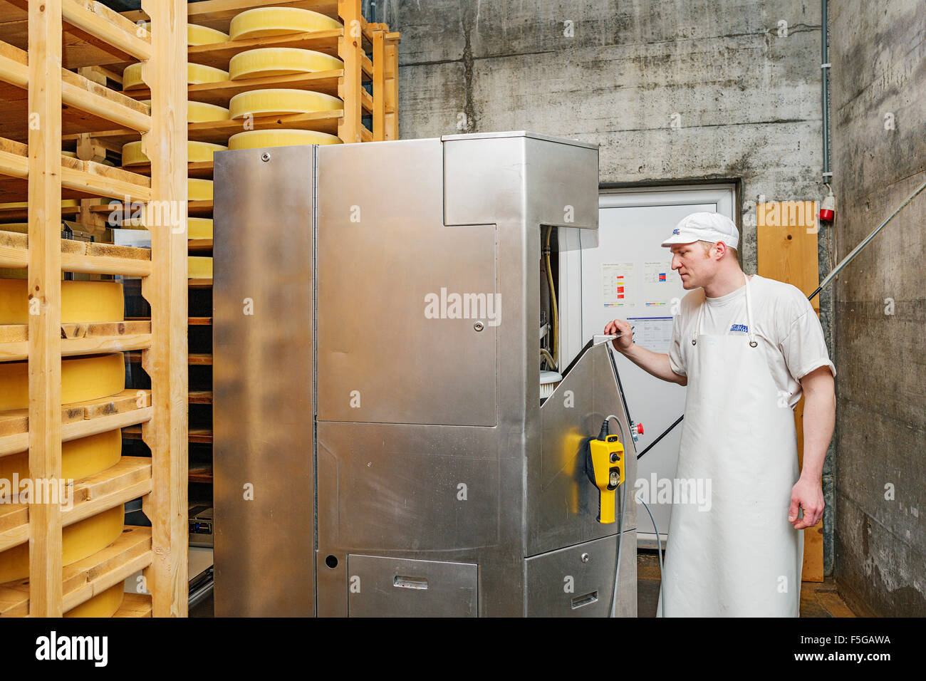 Cheese Maker At The Cellar Stock Photo, Picture and Royalty Free Image.  Image 76739273.