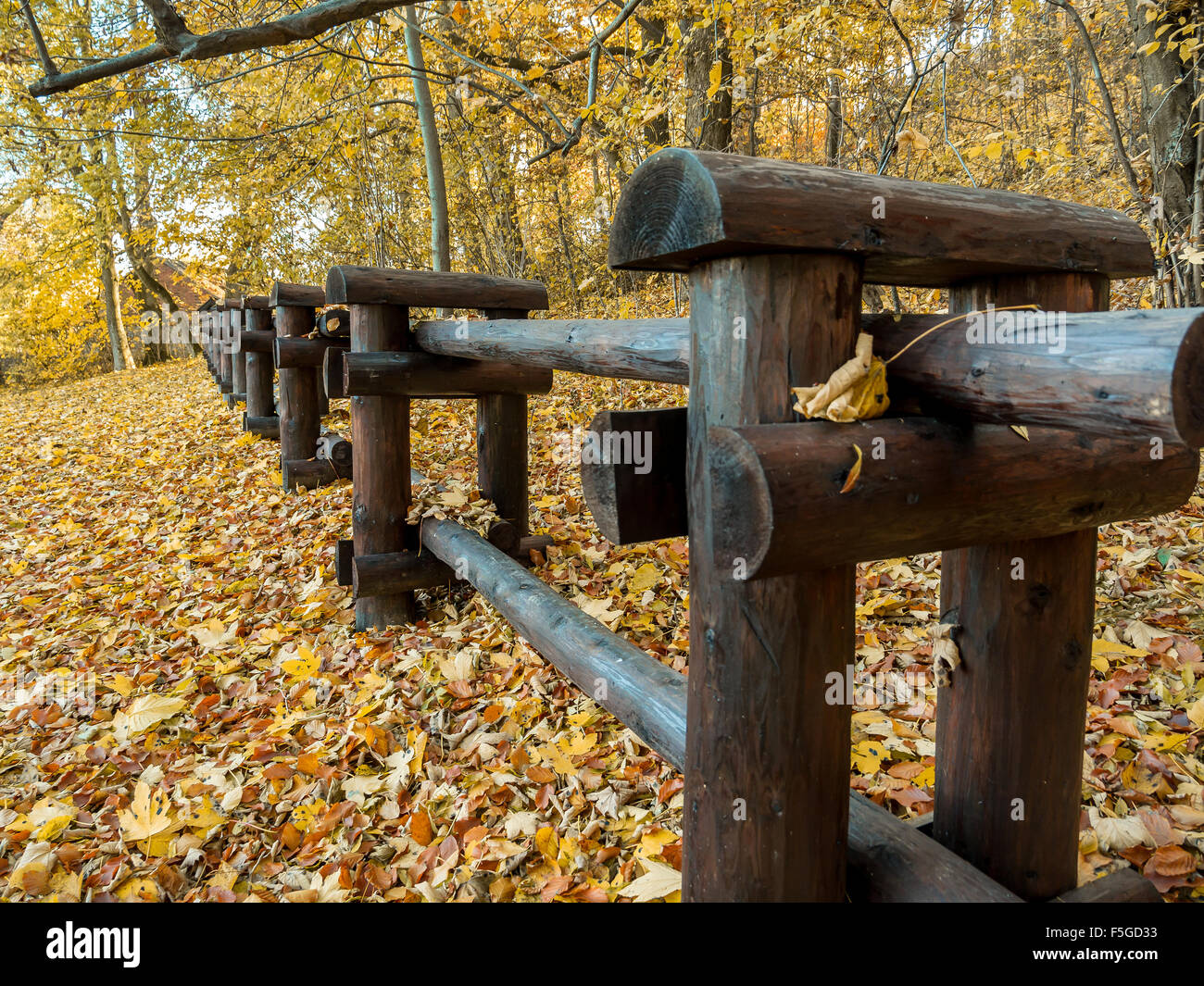 Wooden rustic log fence at the border of the forest in fall time Stock Photo