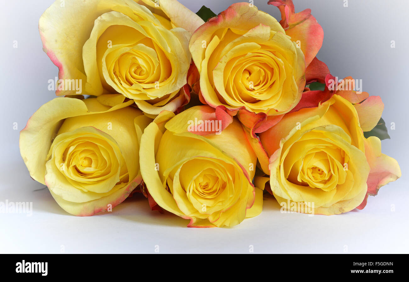 Bouquet of yellow roses Stock Photo - Alamy