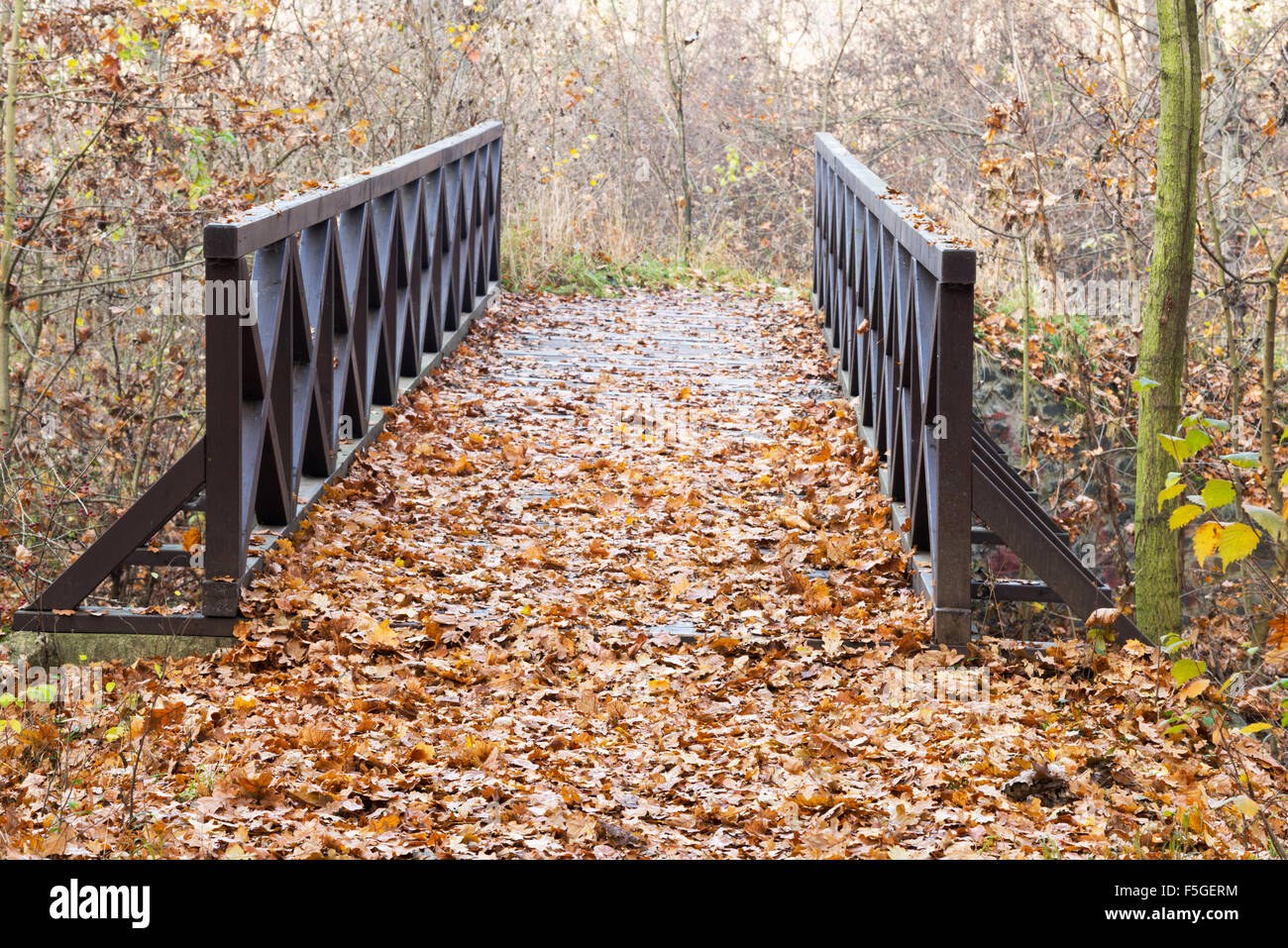 Wooden bridge texture hi-res stock photography and images - Alamy