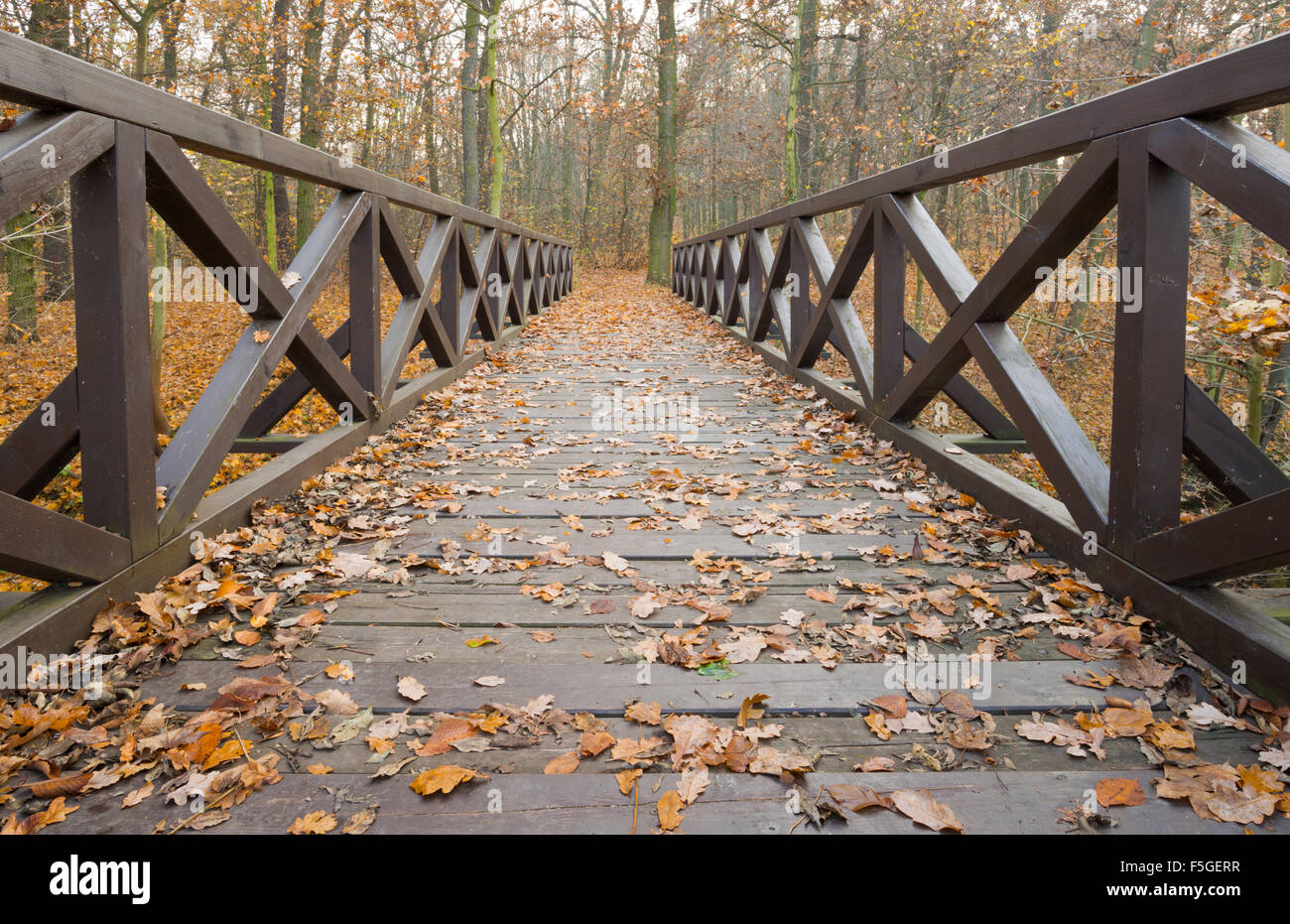 Detail old wooden bridge hi-res stock photography and images - Alamy
