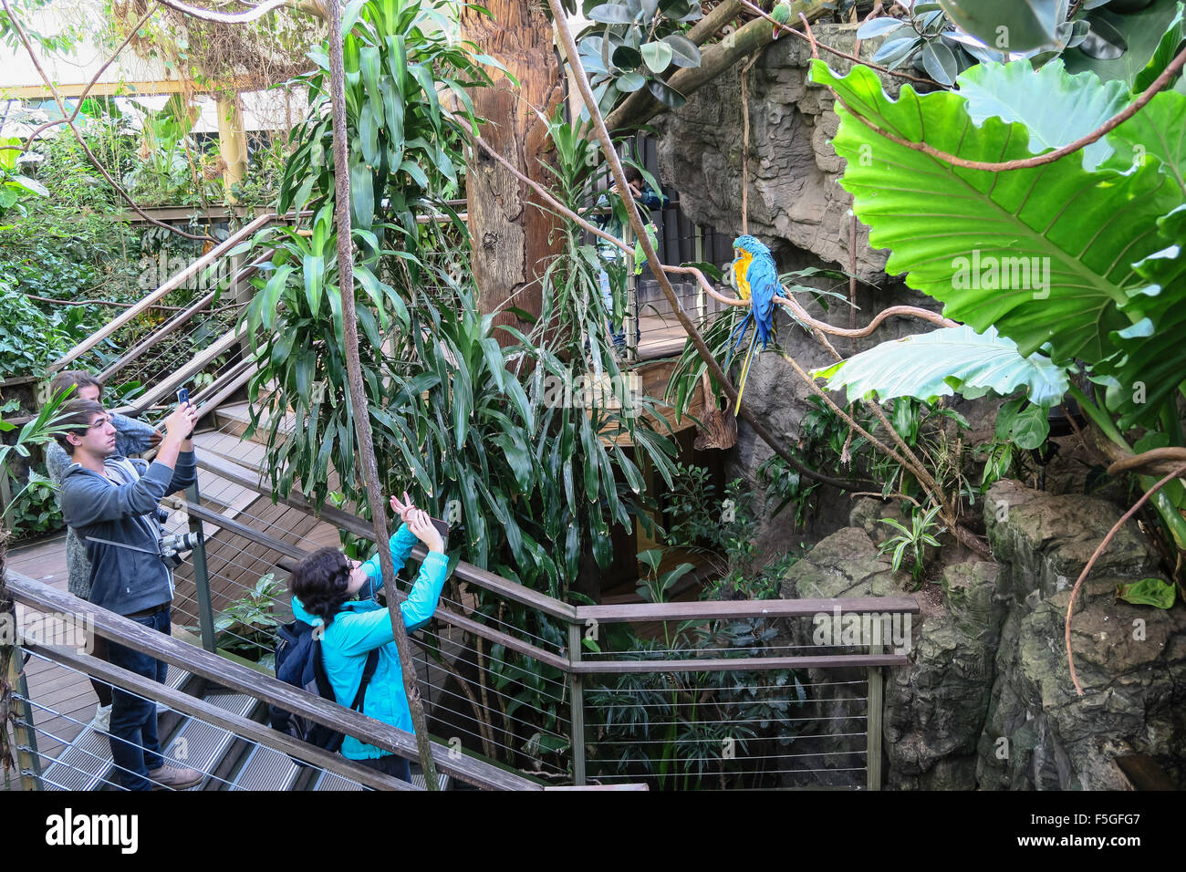 Tropic Zone in Central Park Zoo, NYC, USA Stock Photo