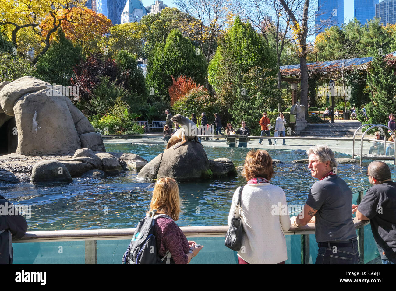 Central Park Zoo, NYC, USA Stock Photo - Alamy