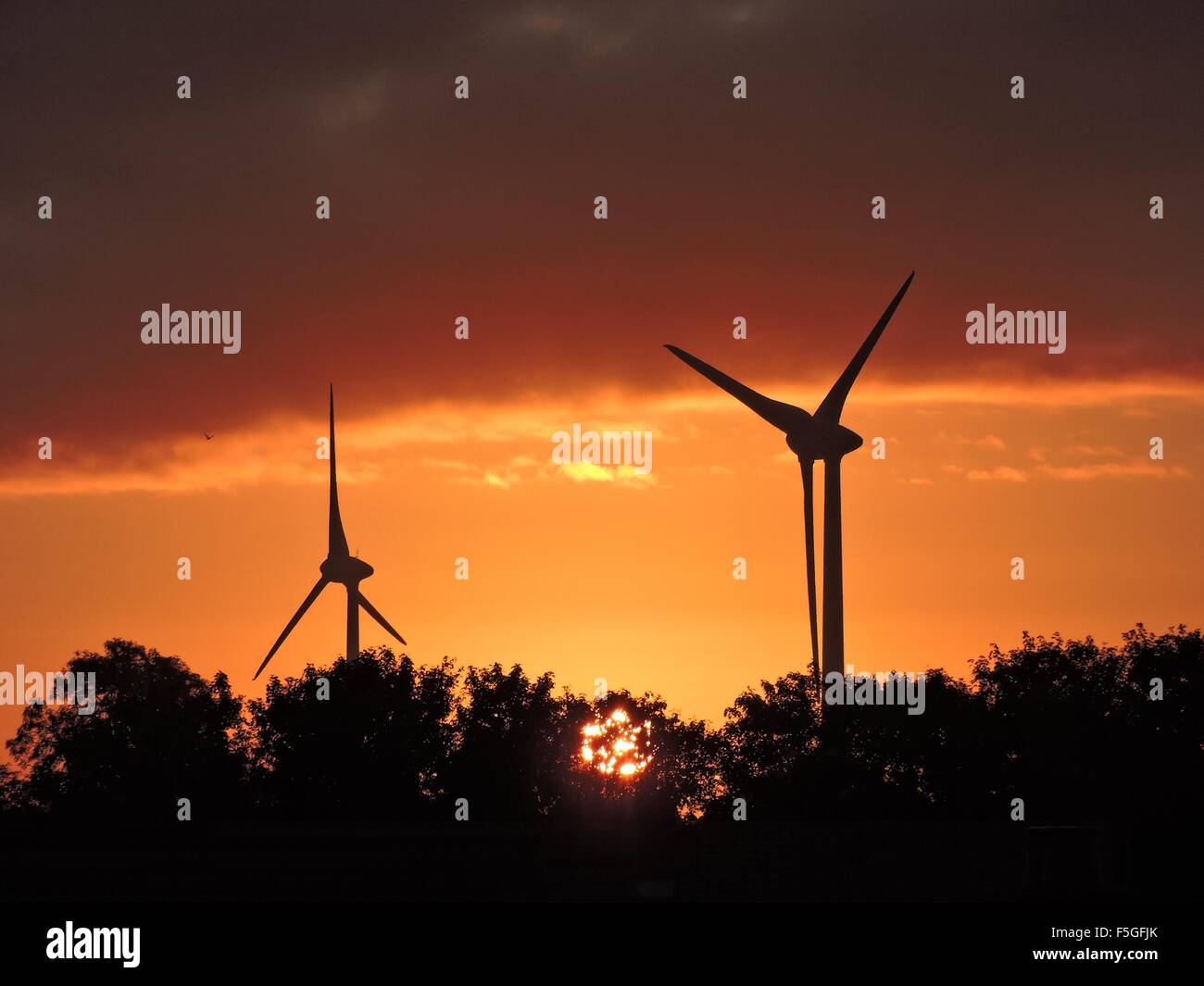 Silhouette of wind turbines during sunrise Stock Photo - Alamy