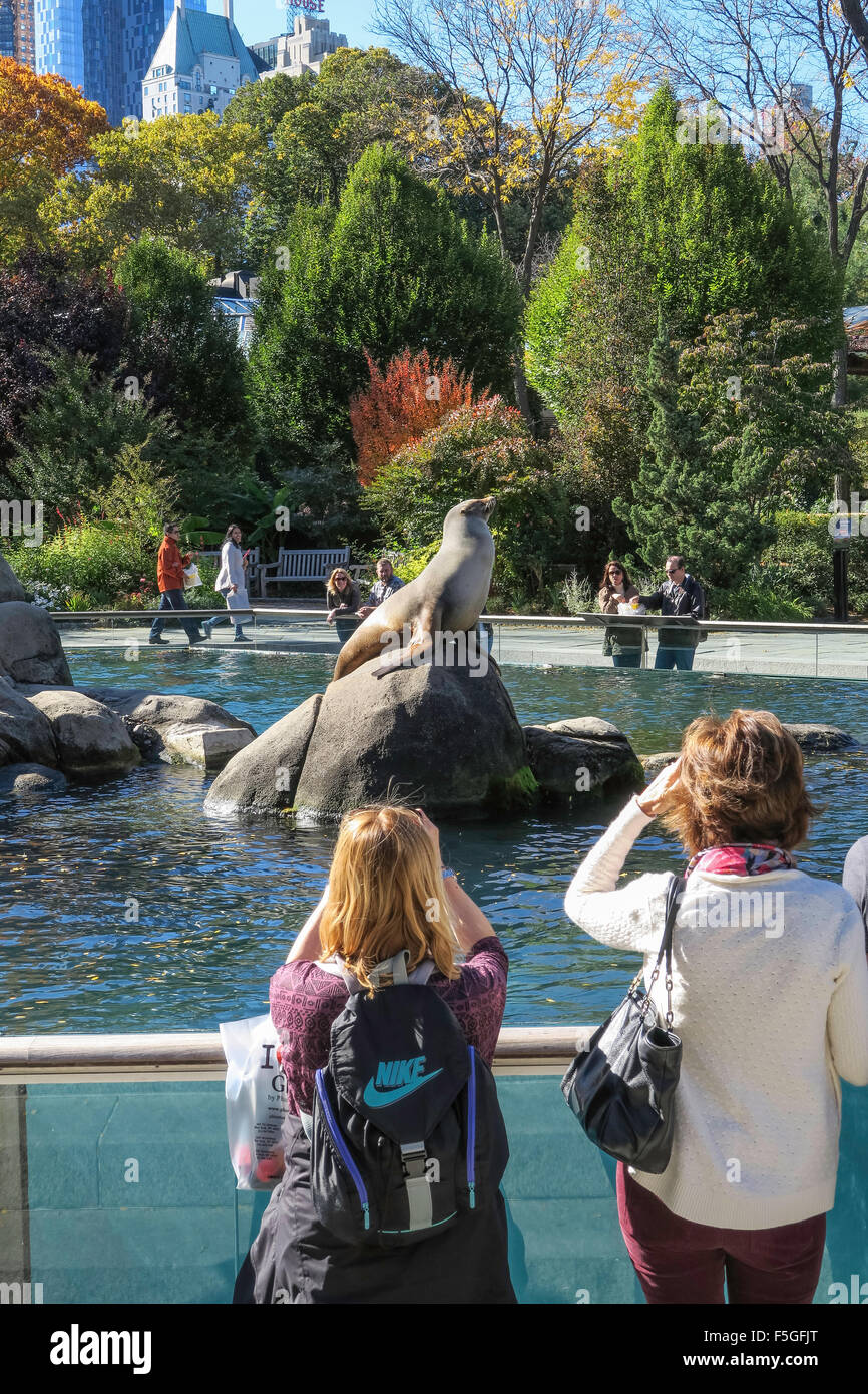 Central Park Zoo, NYC, USA Stock Photo - Alamy