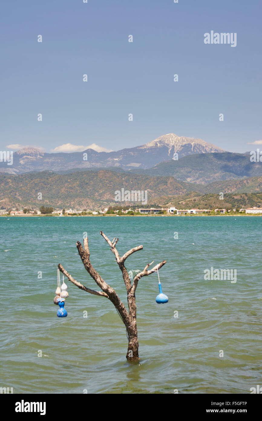 Ornaments Hanging From Branches Of Small Dead Tree In The Sea