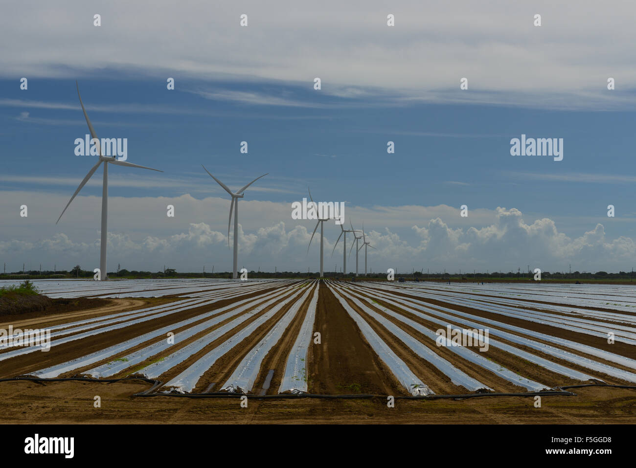 Electricity generation by wind turbines in Santa Isabel, Puerto Rico
