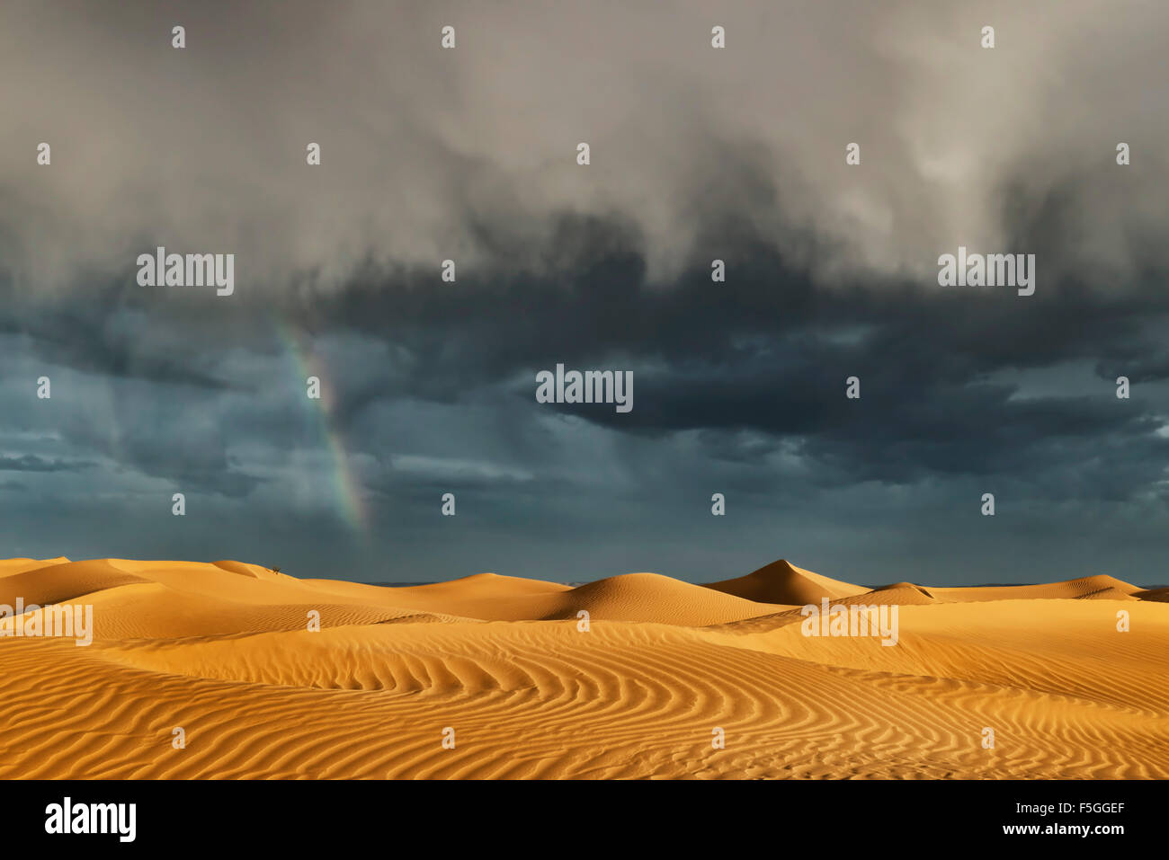 Sahara sand dunes with stormy, cloudy sky and rainbow. Stock Photo