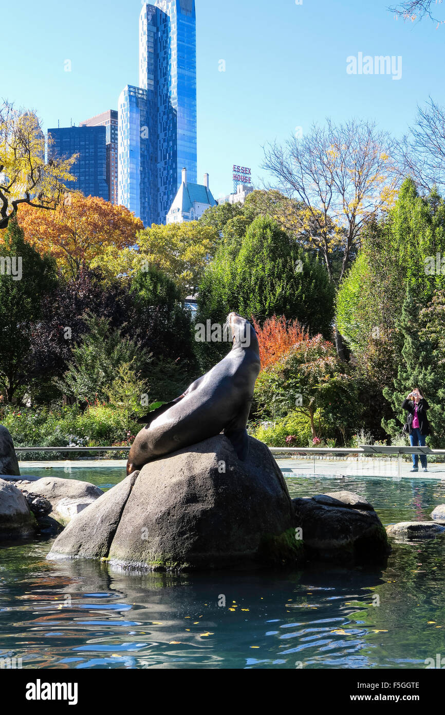 Central Park Zoo, NYC, USA Stock Photo - Alamy