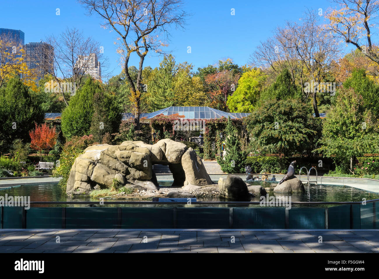 Central Park Zoo, NYC, USA Stock Photo - Alamy