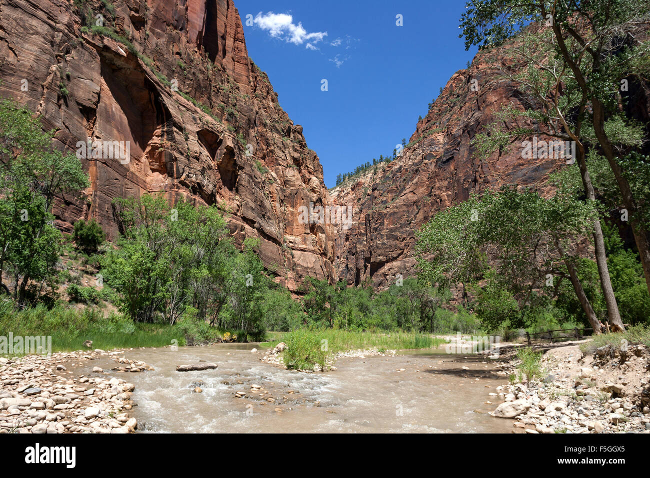 North Fork Virgin River, Riverside Walk, vertical cliff faces of Zion Canyon left and right, Zion National Park, Utah, USA Stock Photo