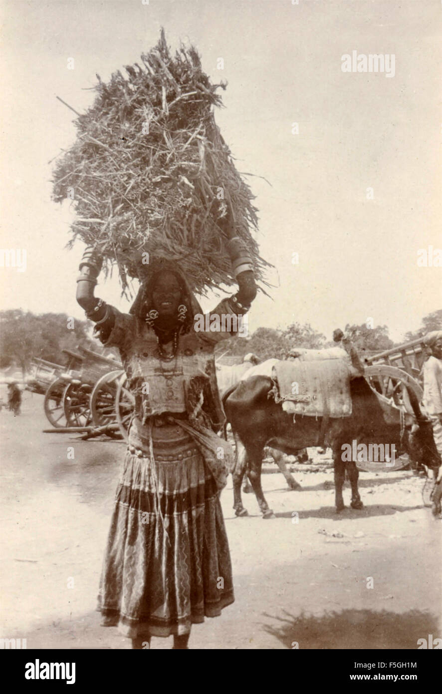Woman carrying a large bundle on his head , India Stock Photo