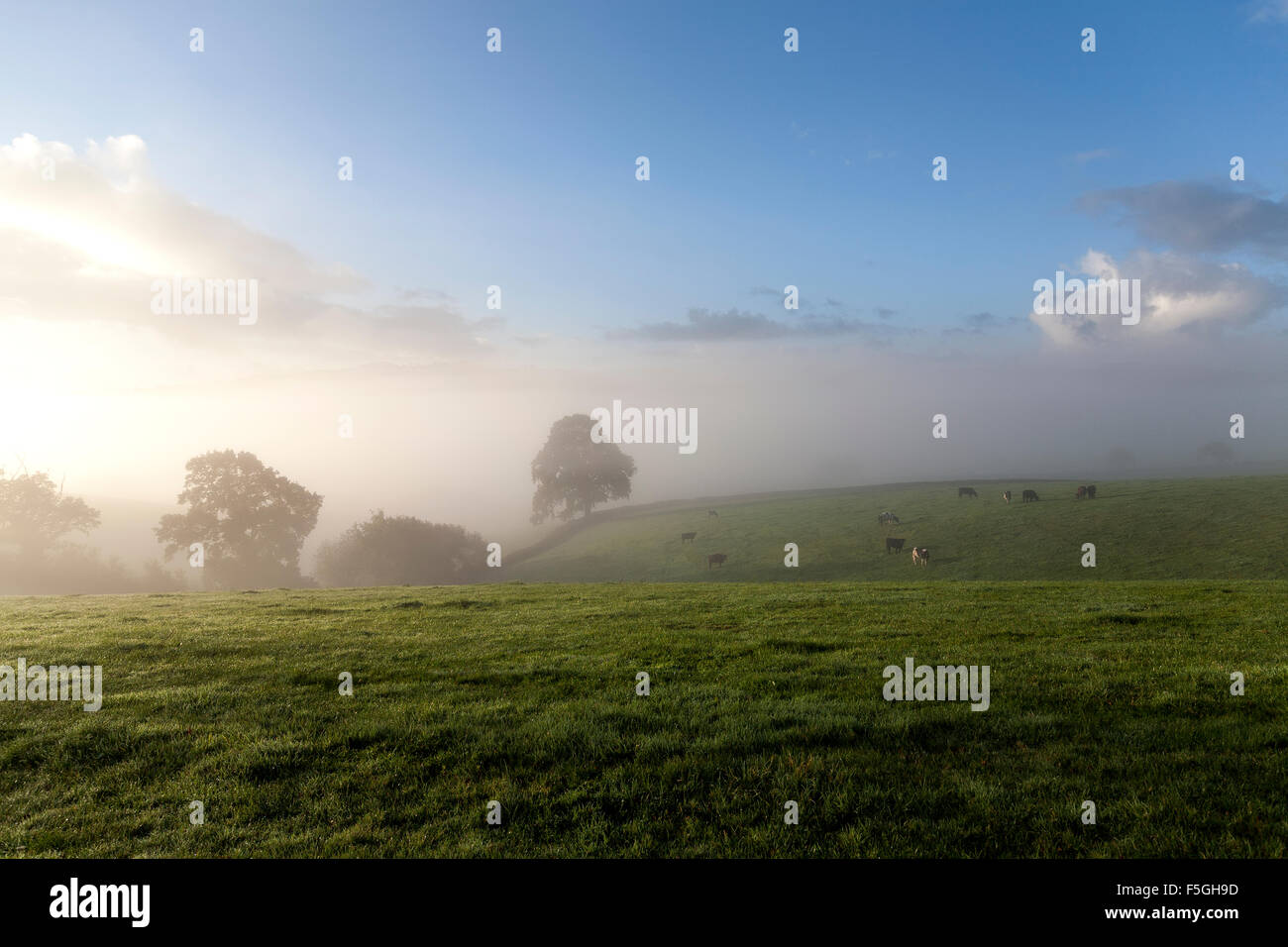 Dartmoor village of dunsford in the teign valley hires stock