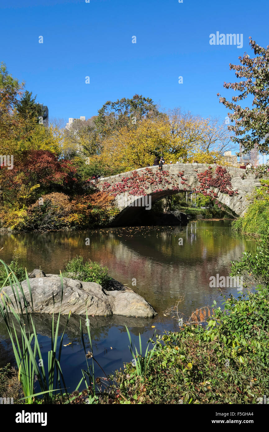The Pond and Gapstow Bridge, Central Park, NYC Stock Photo - Alamy