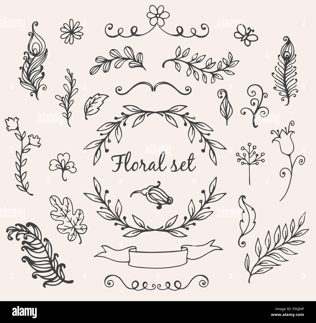 Set of hand drawn decorative floral elements for design Stock Photo - Alamy