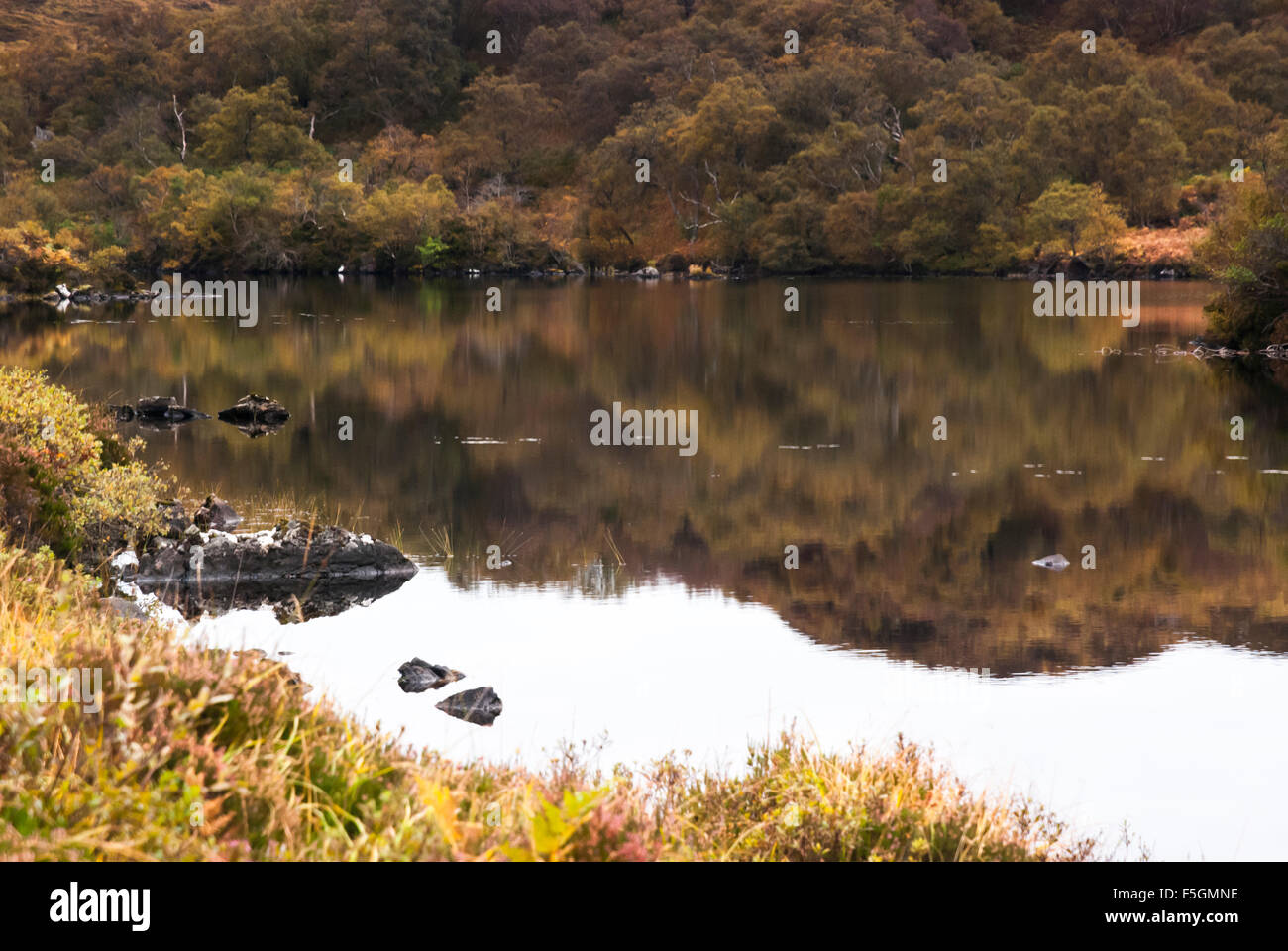 Reflections in Loch na h-Innse Fraoich on the Leitir Easaidh All-Abilities path, Little Assynt  Lochinver, Sutherland, Scotland. Stock Photo