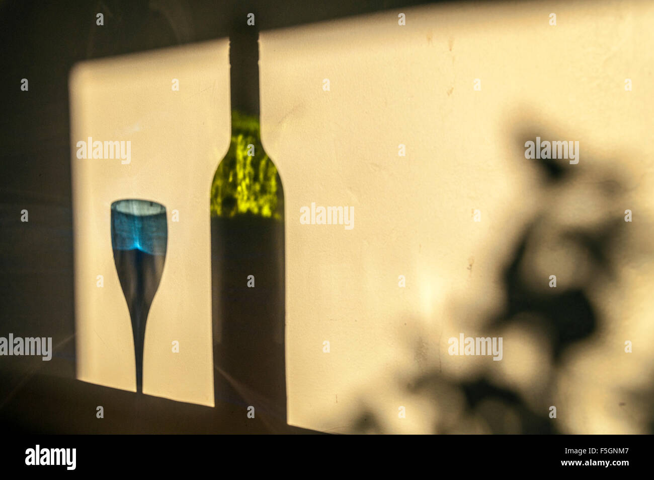 Still Life Reflections Of Wine Bottle And Glass With Plant Shadow Stock still-life-reflections-of-wine-bottle-and-glass-with-plant-shadow-stock