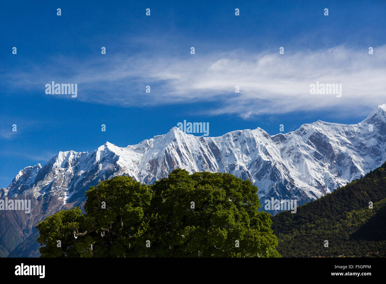 Nanjiabawa mountain in Tibet, China Stock Photo Alamy