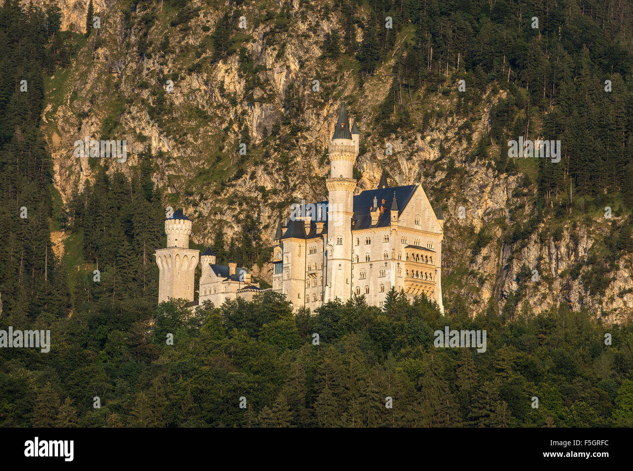 Neuschwanstein castle, Bavaria, Germany Stock Photo