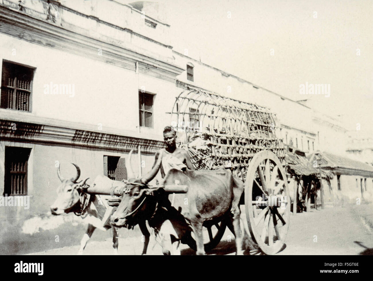 Chariot drawn by cattle, India Stock Photo