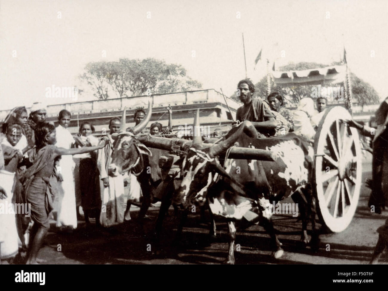 Ceremony on the chariot drawn by cattle, India Stock Photo