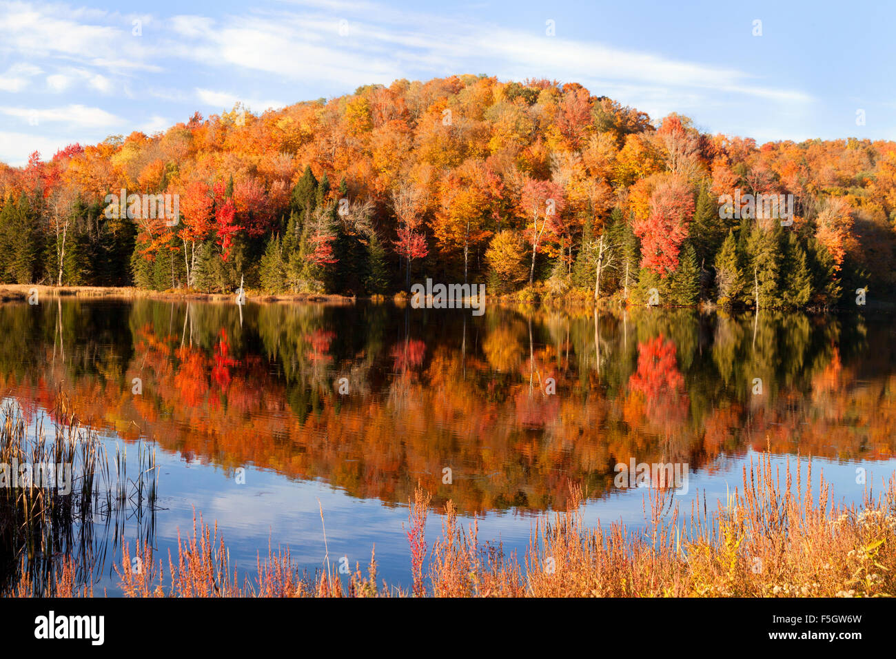 Autumn tree colours in the fall, Belvedere Pond lake, Vermont, New England USA Stock Photo