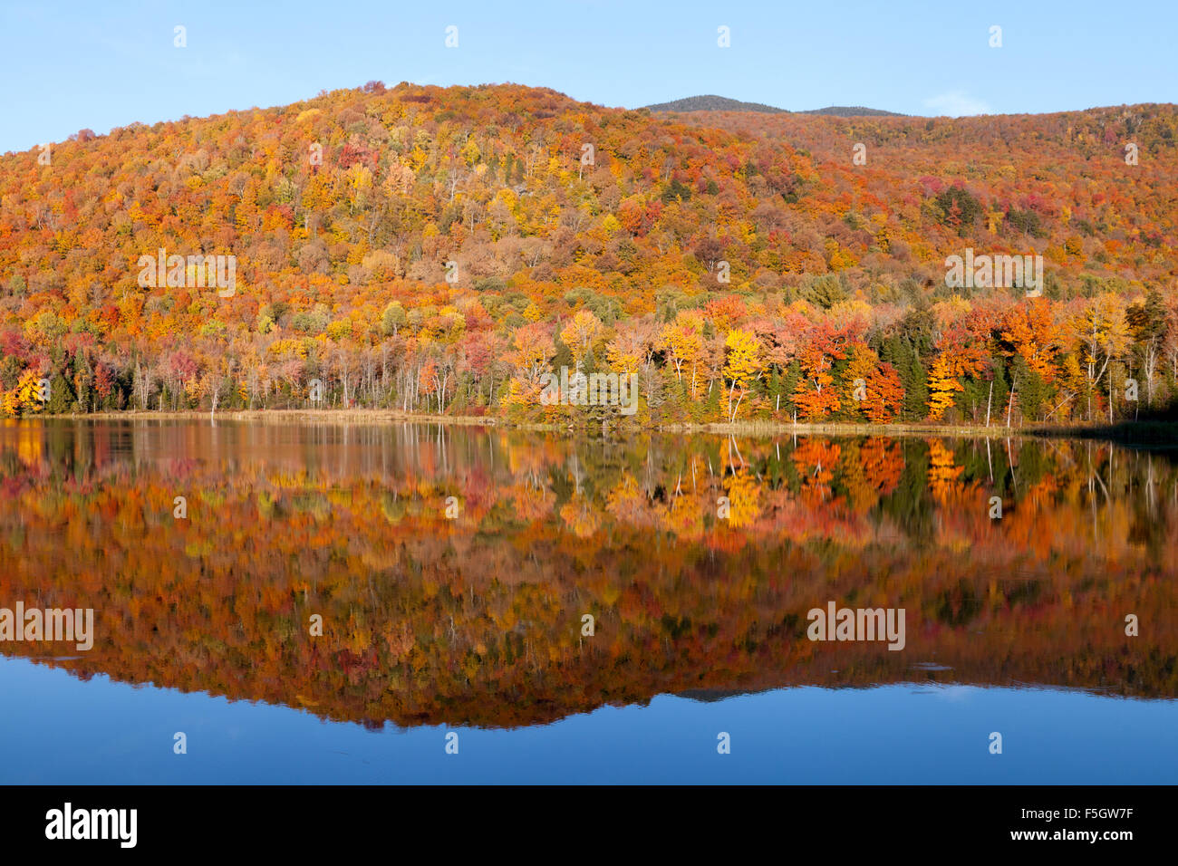 Fall colours and their reflection, Belvedere Pond, Lamoille County Vermont VT USA Stock Photo