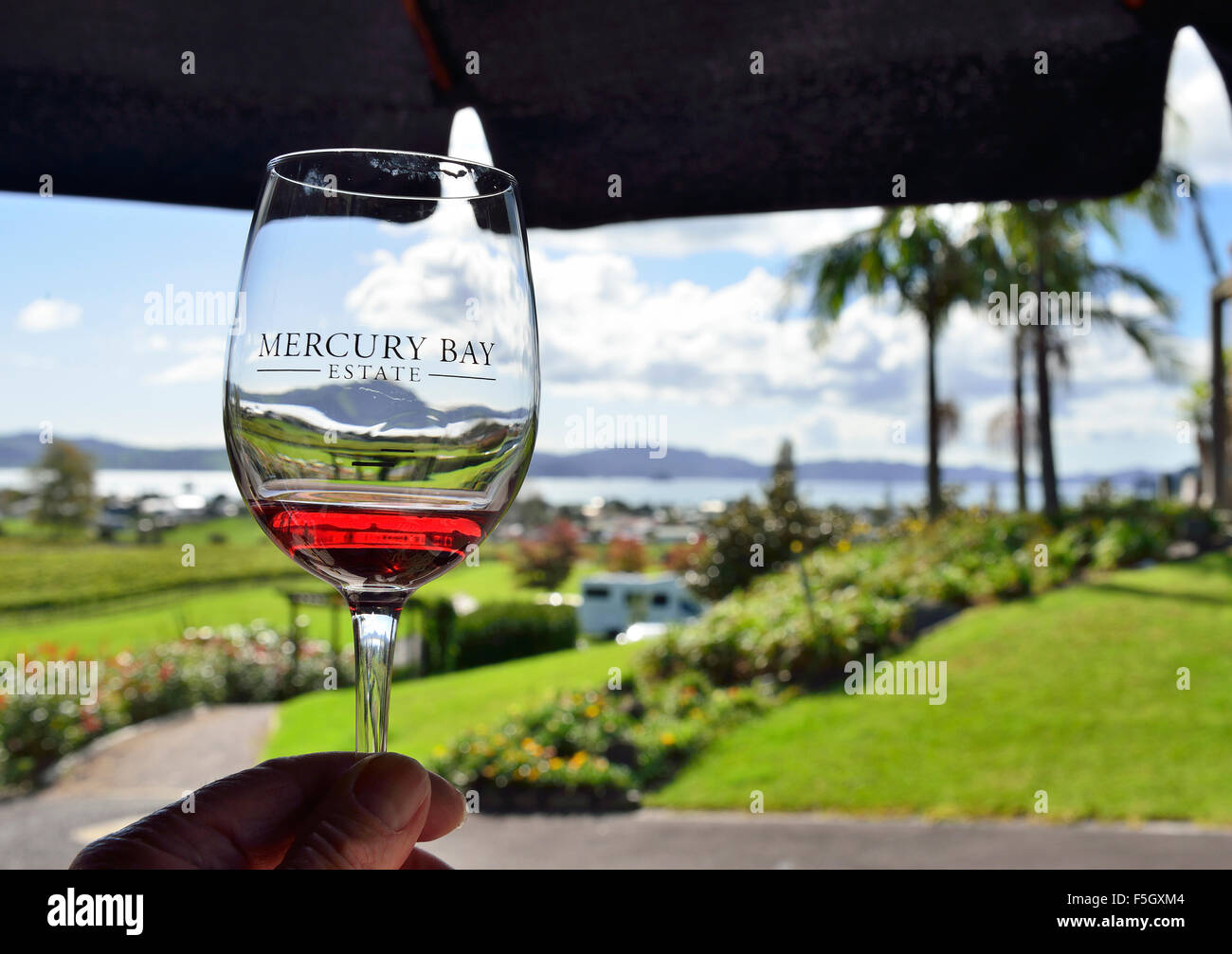 Checking colour of red wine in glass at the cellar door of the Mercury Bay Estate, Purangi Road,Cooks Beach,Whitianga,Coromandel Peninsula,New Zealand Stock Photo